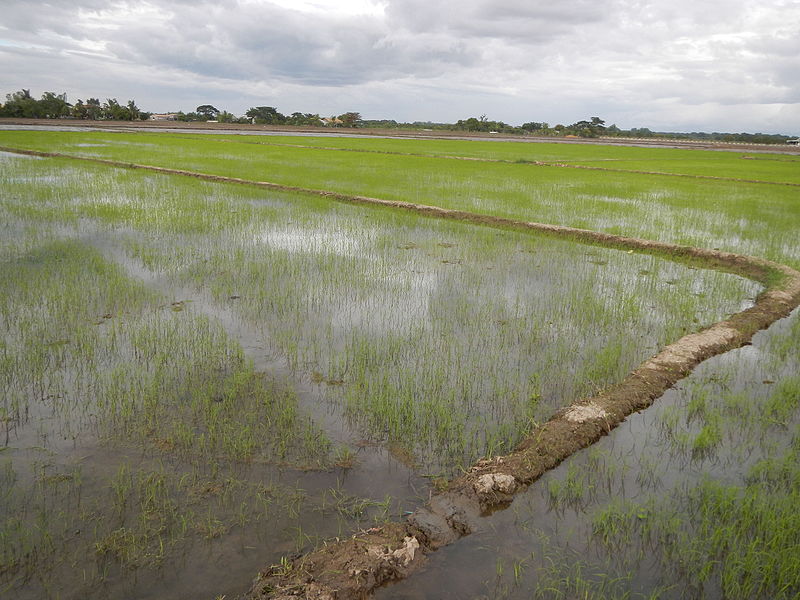 Philippine Typhoon.JPG